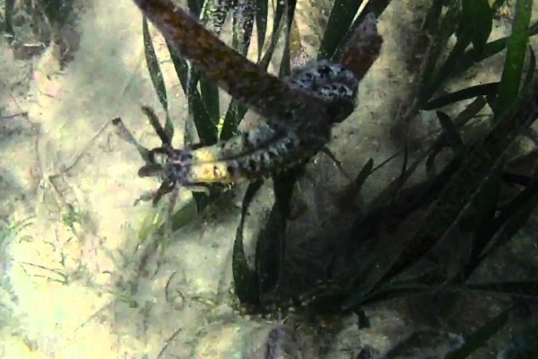 Kraken сайт и современные технологии